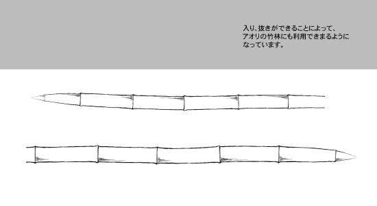 ブラシ_竹