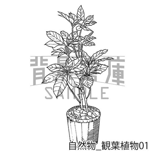 自然物_セット2(観葉植物)