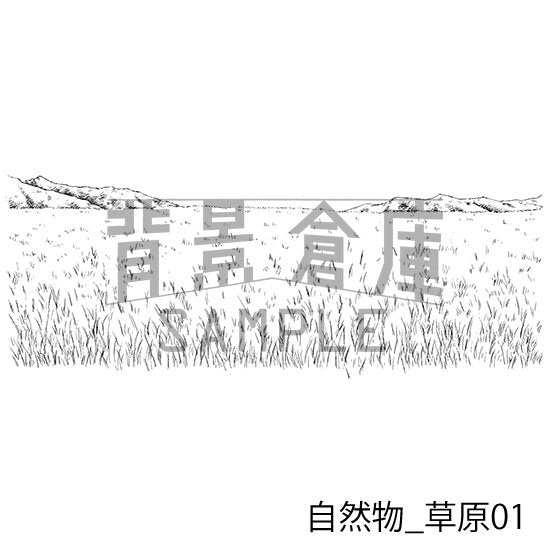 草原