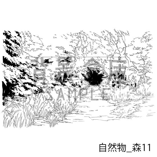 森の背景です。