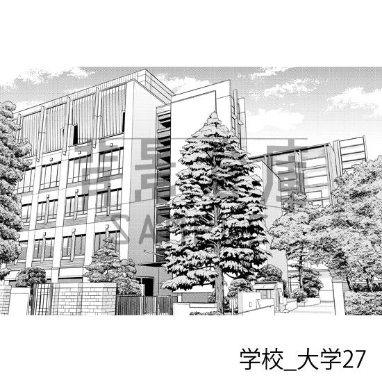 大学の外観(トーンつき)です。