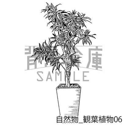 自然物_セット2（観葉植物）