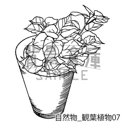 自然物_セット2（観葉植物）