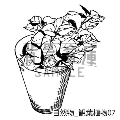 自然物_セット2（観葉植物）