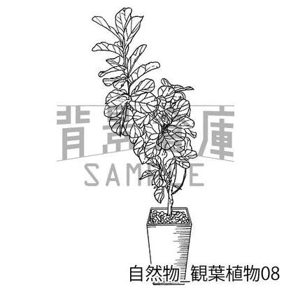 自然物_セット2（観葉植物）