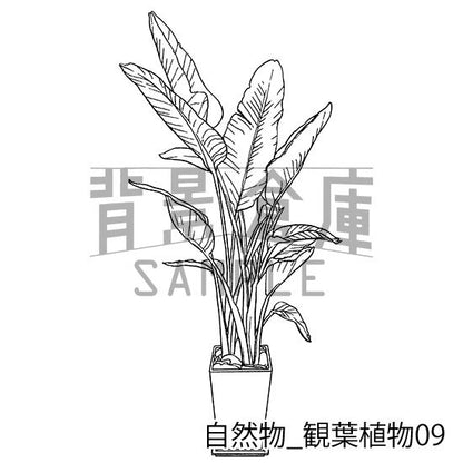 自然物_セット2（観葉植物）