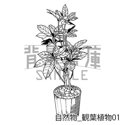 自然物_セット2（観葉植物）