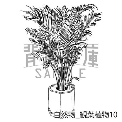 自然物_セット2（観葉植物）