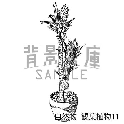 自然物_セット2（観葉植物）