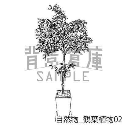 自然物_セット2（観葉植物）