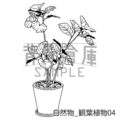 自然物_セット2（観葉植物）