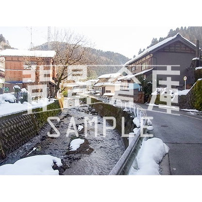 写真素材_自然物1