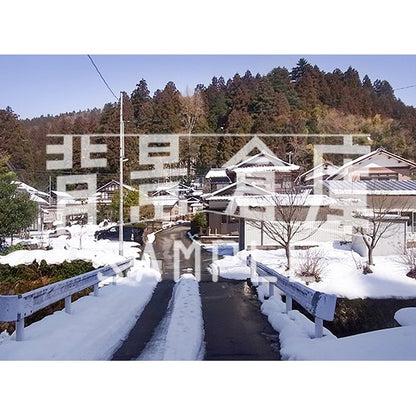 写真素材_自然物1