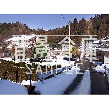 写真素材_自然物1