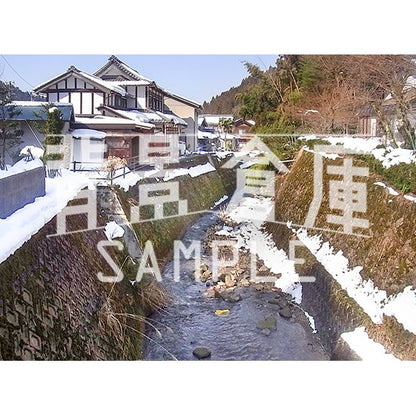 写真素材_自然物1