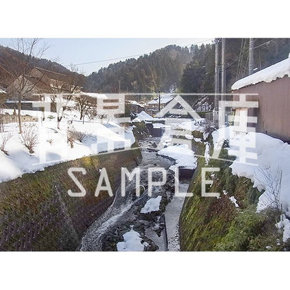 写真素材_自然物1