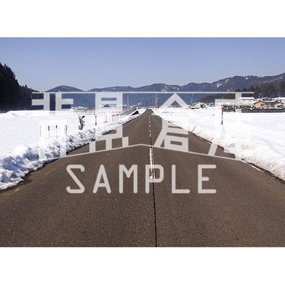 写真素材_自然物1