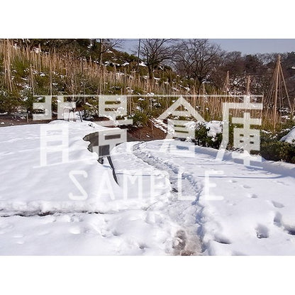 写真素材_自然物1