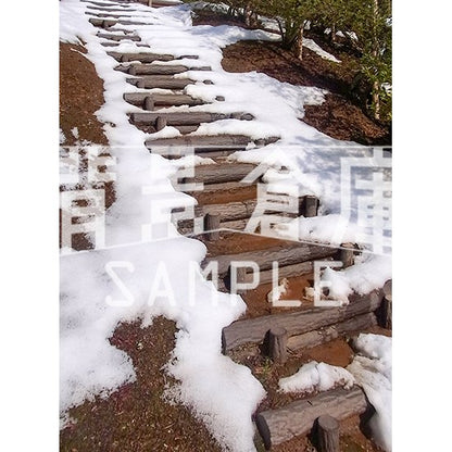 写真素材_自然物1