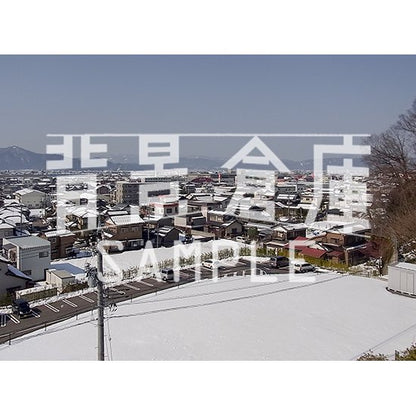 写真素材_自然物1