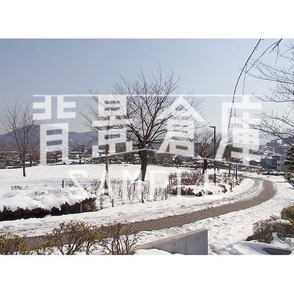 写真素材_自然物1