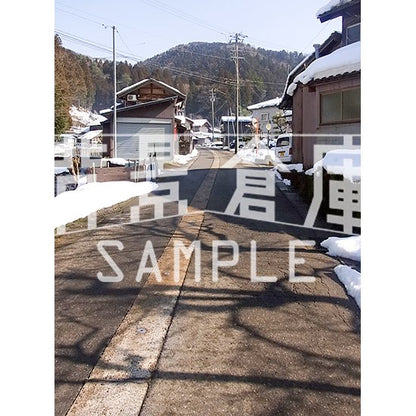 写真素材_自然物1