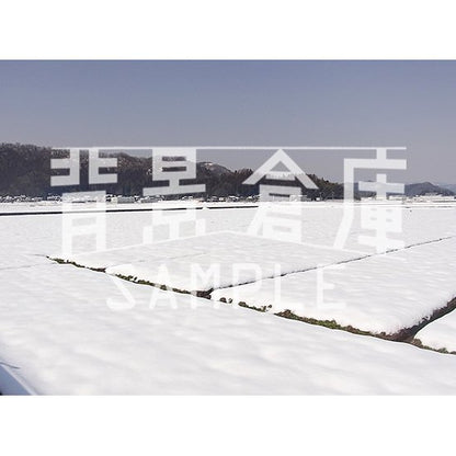 写真素材_自然物1