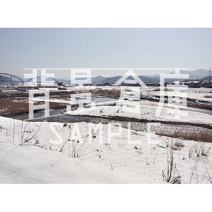 写真素材_自然物1