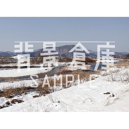 写真素材_自然物1