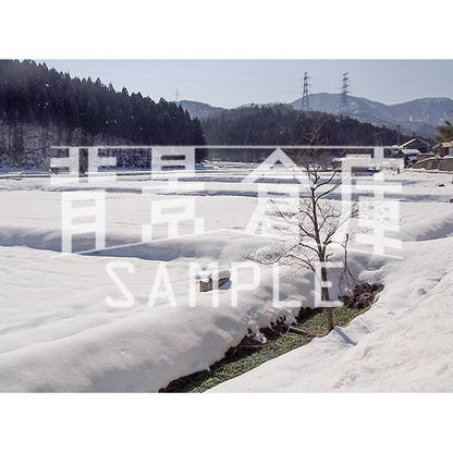 写真素材_自然物1