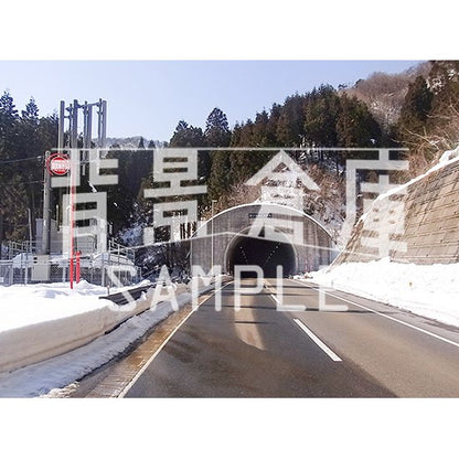 写真素材_自然物1