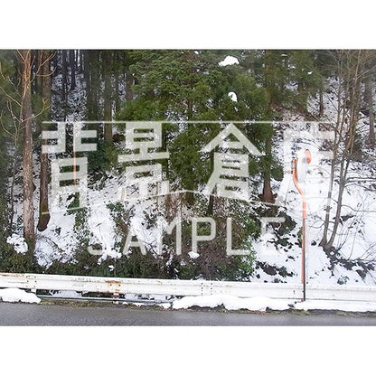 写真素材_自然物1