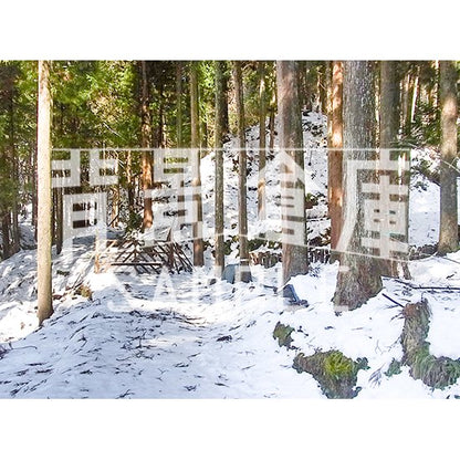 写真素材_自然物1