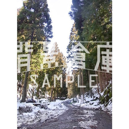 写真素材_自然物1