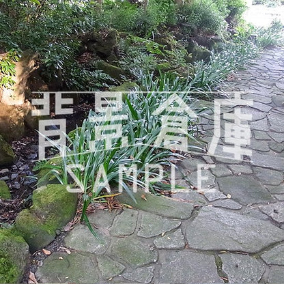 写真素材_神社2