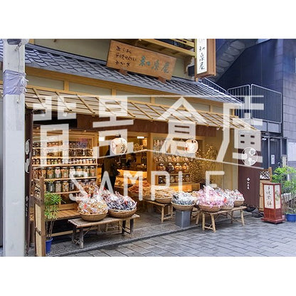 写真素材_繁華街4