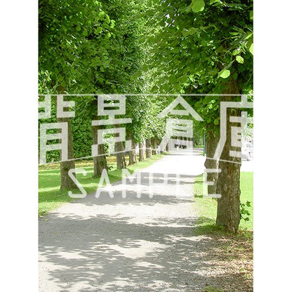 写真素材_西洋風1