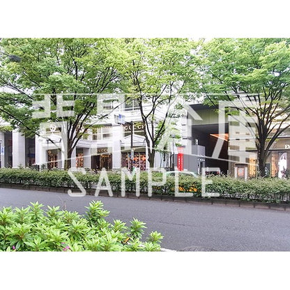 写真素材_繁華街5