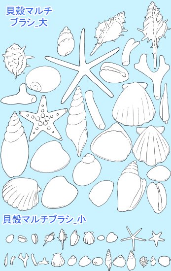 手描き貝殻素材集