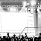ブラシ_トラスブラシ
