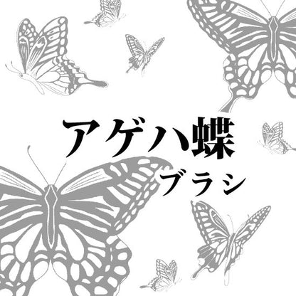 アゲハ蝶とコウモリブラシ