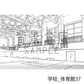 学校_体育館37_トーン