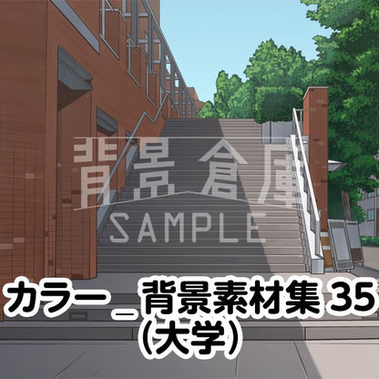 カラーの大学セットです。（5枚組）