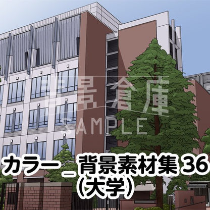 カラーの大学セットです。（5枚組）