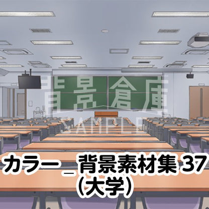 カラーの大学セットです。（4枚組）